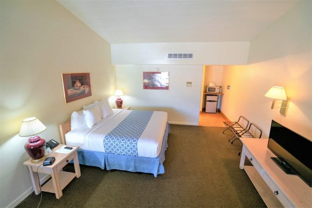 Room with Single King Bed